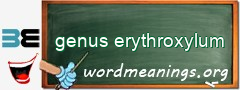 WordMeaning blackboard for genus erythroxylum